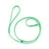 Jelly Pet Grooming Lead -Andis shop 1453 JellyPet GroomingLead LimeGreen 56345.1632429790