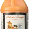 Wild Animal Bloomin Orange Shampoo | Dilutes 50:1 -Andis shop 819McCcBnVL. SL1500 18329.1454367106