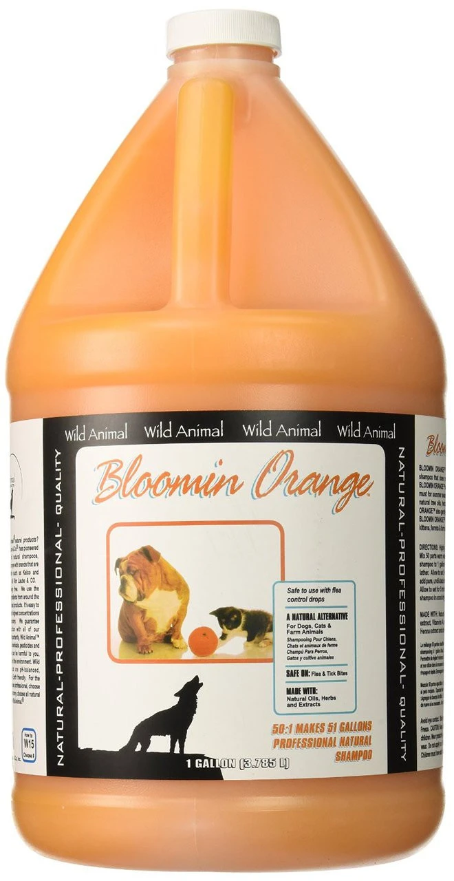 Wild Animal Bloomin Orange Shampoo | Dilutes 50:1 3 Wild Animal Bloomin Orange Shampoo | Dilutes 50:1