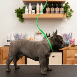 Jelly Pet Grooming Loop- Fits Most Tubs/Tables -Andis shop JP Listing Loop Table 26821.1646679622