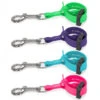 Jelly Pet Grooming Loop Safety Tethers -Andis shop Jelly Pet Tether group shot 34669.1675815043