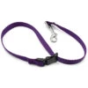 Groomers Pro Nylon Grooming Loop With Quick Release | 26" -Andis shop Nylon Slip Lead listing1 purple 53228.1602813252