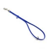 Jelly Pet Grooming Loop With Ring - Fits Groomers Helper 1 Jelly Pet Grooming Loop With Ring - Fits Groomers Helper -Andis shop Ring blue web 66451.1632430065